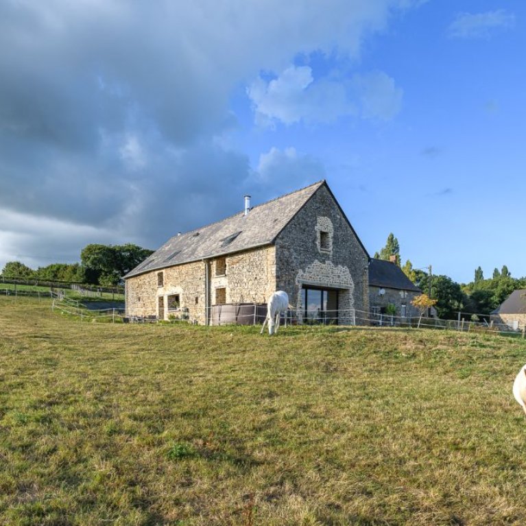 Reconnexion avec la nature